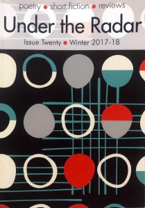 Under the radar cover